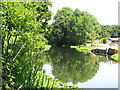 The River Colne west of Old Mill Farm (2)