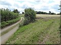 Country road and farmland at Tuckhill