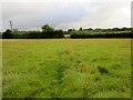 Footpath crossing field