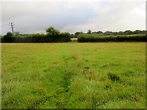 SU9627 : Footpath crossing field by Peter Holmes