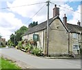 Hinton St Mary, White Horse