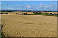 Farmland view opposite Glenhall Cottages