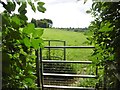 Hinton St Mary, gate