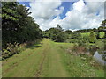 Path on Park House Farm