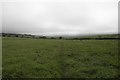 Public footpath, Litton Cheney