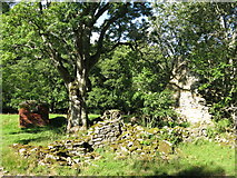 NY9056 : Old railway goods van and ruined building on a haugh by the Rowley Burn (4) by Mike Quinn