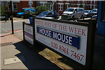 TQ2992 : Pest of the Week, on Bowes Road by Christopher Hilton