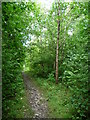 Public footpath to Nottingham Lane