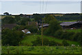 West Dorset : Grassy Field