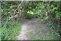 West Dorset : Path