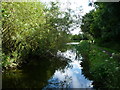 Pinxton Arm, looking east to Pinxton Wharf