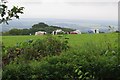 Campsite near Great Thorness