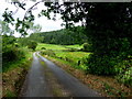 Minor road, Ballaghneed / Fogart