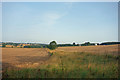 Farmland, North Hazelrigg