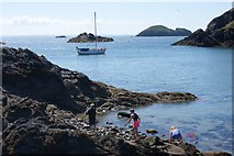 SM8023 : High tide at the entrance to Solva Harbour by Simon Mortimer
