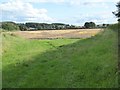 SO7791 : Arable field near Lower Beobridge by Philip Halling