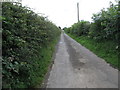 Road leading to the NT Ballyquintin Farm