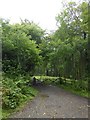 Gate leading  to bridleway along old railway