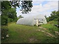 Poly tunnel near Bramly Farm