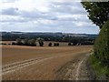 Harvested fields near Shillington