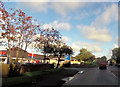 Entrance to Tesco Caernarfon