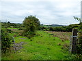 An open field, Killaveney