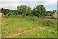 Grassland by Heligan Drive