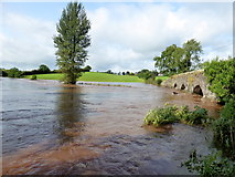 H4869 : Camowen River in flood, Edenderry by Kenneth  Allen