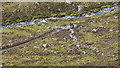 NH5382 : Barrier across the hill track below Garbhan MÃ²r by Julian Paren