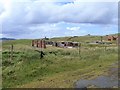 C2944 : Lenan Fort [5] by Michael Dibb