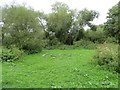 Winnall Moors Nature Reserve