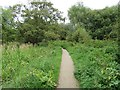 Winnall Moors Nature Reserve