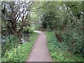 Winnall Moors Nature Reserve