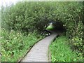 Walkway - Winnall Moors Nature Reserve