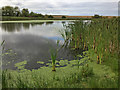 Ellington Pond Nature Reserve