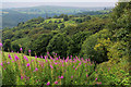 SD9929 : View over Pecket Well Clough by Chris Heaton