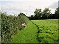 Bench adjacent to footpath