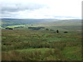 Rough grazing near Hartside Cottages