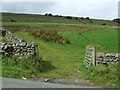 Field entrance off the A686