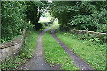 SD7340 : Clitheroe: Track leading to Lower Standen by Dr Neil Clifton