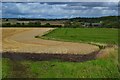 NT8238 : Farmland near site of Wark Castle by David Martin