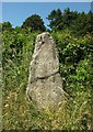 Diamond Jubilee stone, Langaford