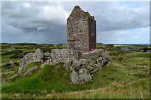 NT6334 : Smailholm tower by David Martin