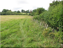 SP7103 : Field between New Park and Thame Park by David Hawgood