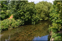 TQ1580 : River Brent at Hanwell by David Martin