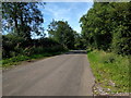 Bolters Lane, looking west