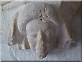 SP0120 : Carved head in Whittington church by Philip Halling