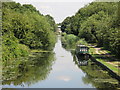 TQ0480 : The Grand Union Canal (Slough Arm) east of the Trout Lane bridge by Mike Quinn