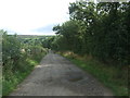 Track (bridleway) towards the River Wear