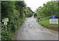 Kingsley Avenue, Ilfracombe